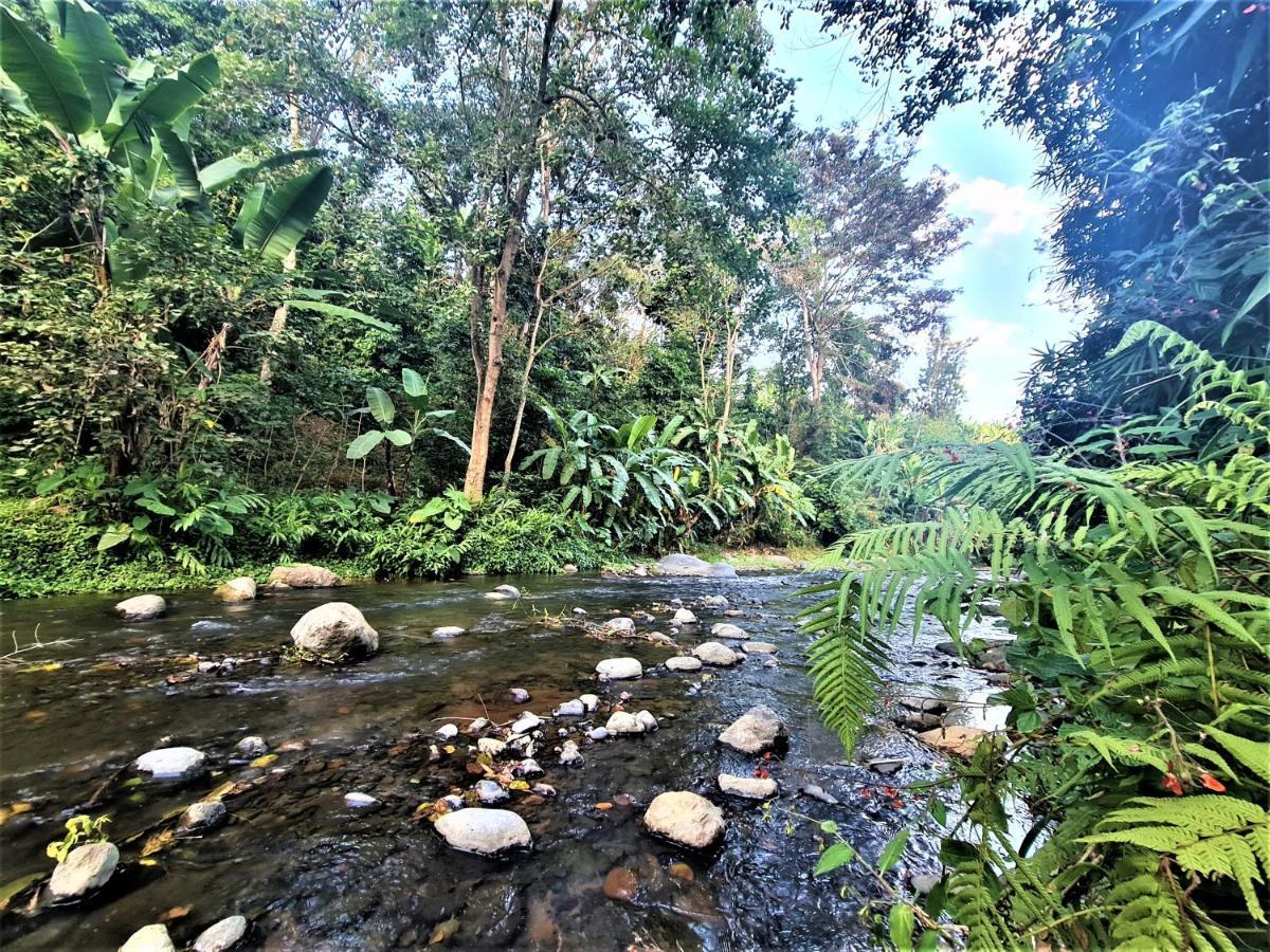 Holiday Cottage By The River, ארושה מראה חיצוני תמונה